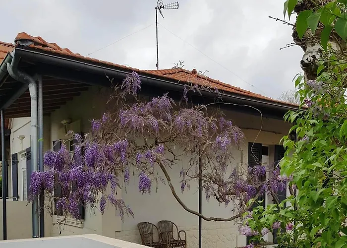 La Maison D Irma A A 700 M